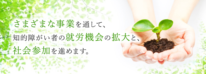 さまざまな事業を通して、知的障がい者の就労機会の拡大と、社会参加を進めます。